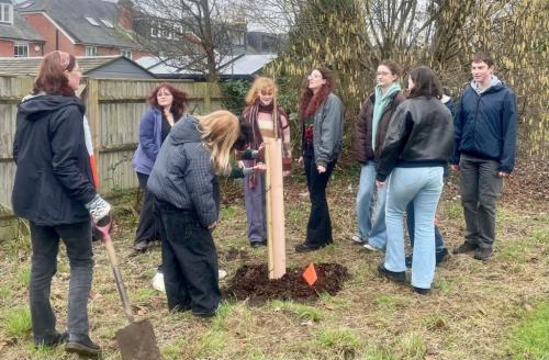 Peter Symonds students plant disease resistant elm trees as part of the College's Greening Enrichment